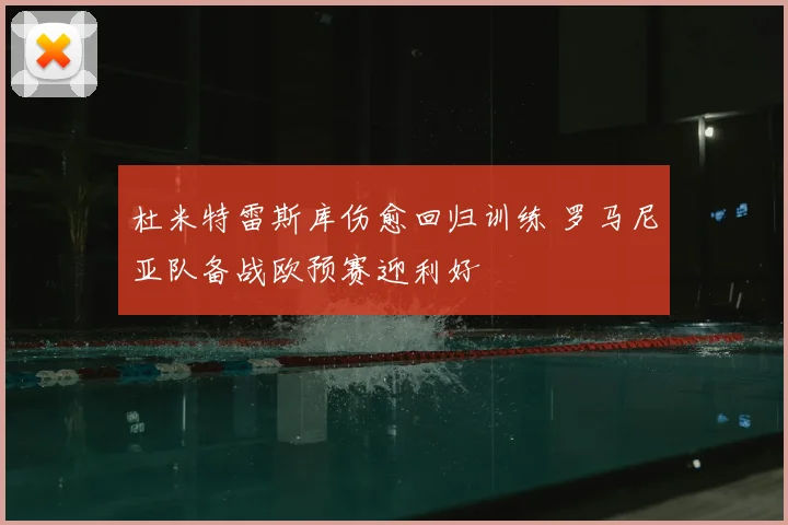 杜米特雷斯库伤愈回归训练 罗马尼亚队备战欧预赛迎利好