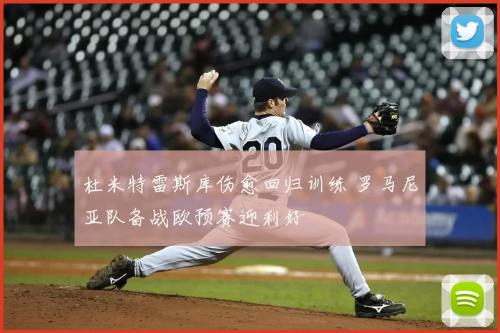 杜米特雷斯库伤愈回归训练 罗马尼亚队备战欧预赛迎利好