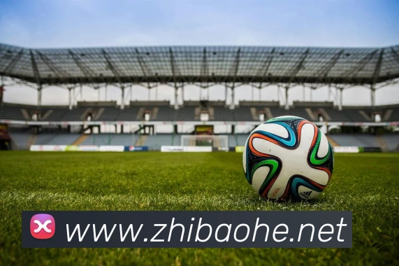 开云体育APP 封面图