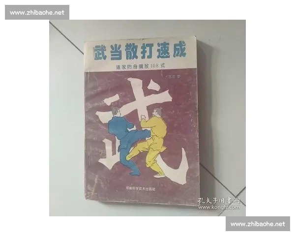 传统武当内家拳与现代散打实战体系的理念碰撞与胜负探讨深度解析